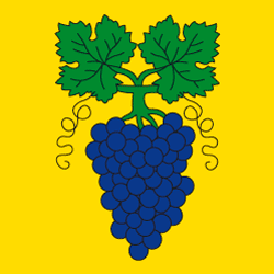 lutzenberg_ar.gif