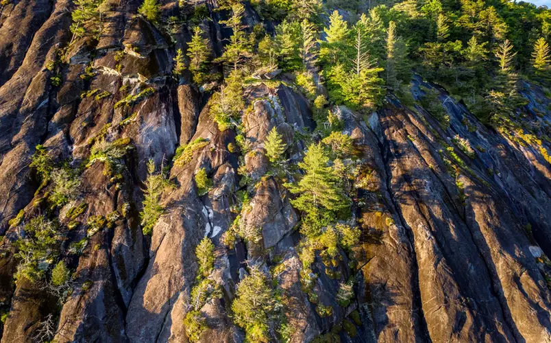 Aerial photography with drones capturing rugged cliffside terrain dotted with trees at sunset.