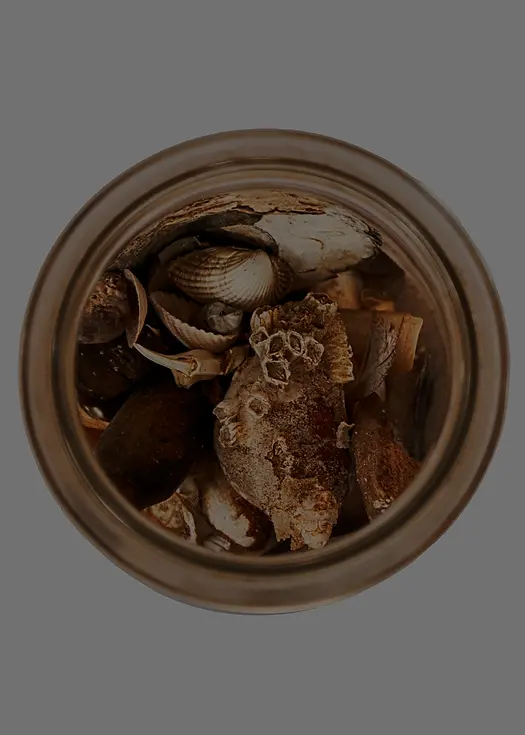 Zeevruchten in een weckglas als verbeelding van chaos in een vat.