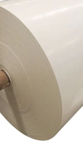 paper-cup-raw-material-food-grade-pe-coated-jumbo-roll-21_edited_edited.jpg