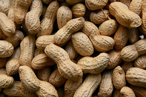 peanuts-3823362_1280.jpg