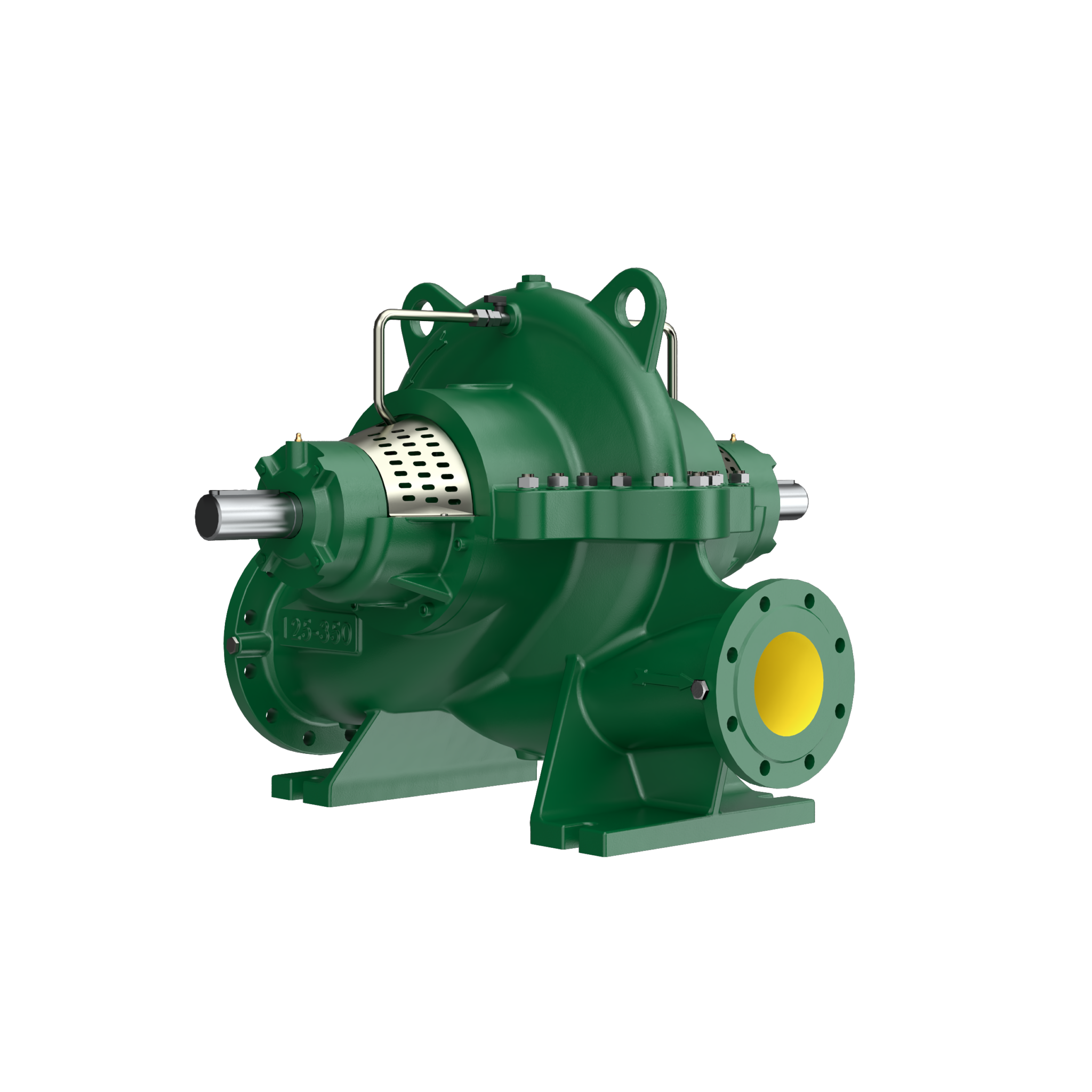 SCE_CAPRARI PUMP.png