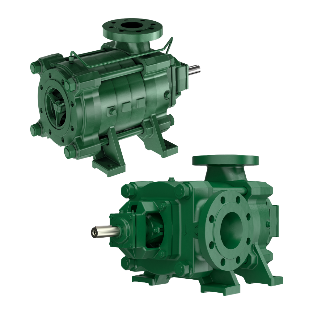 PM_CAPRARI PUMP.png