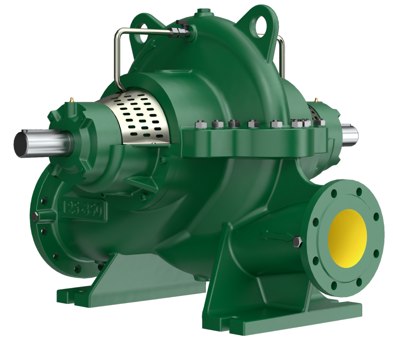 SCE_CAPRARI PUMP.png