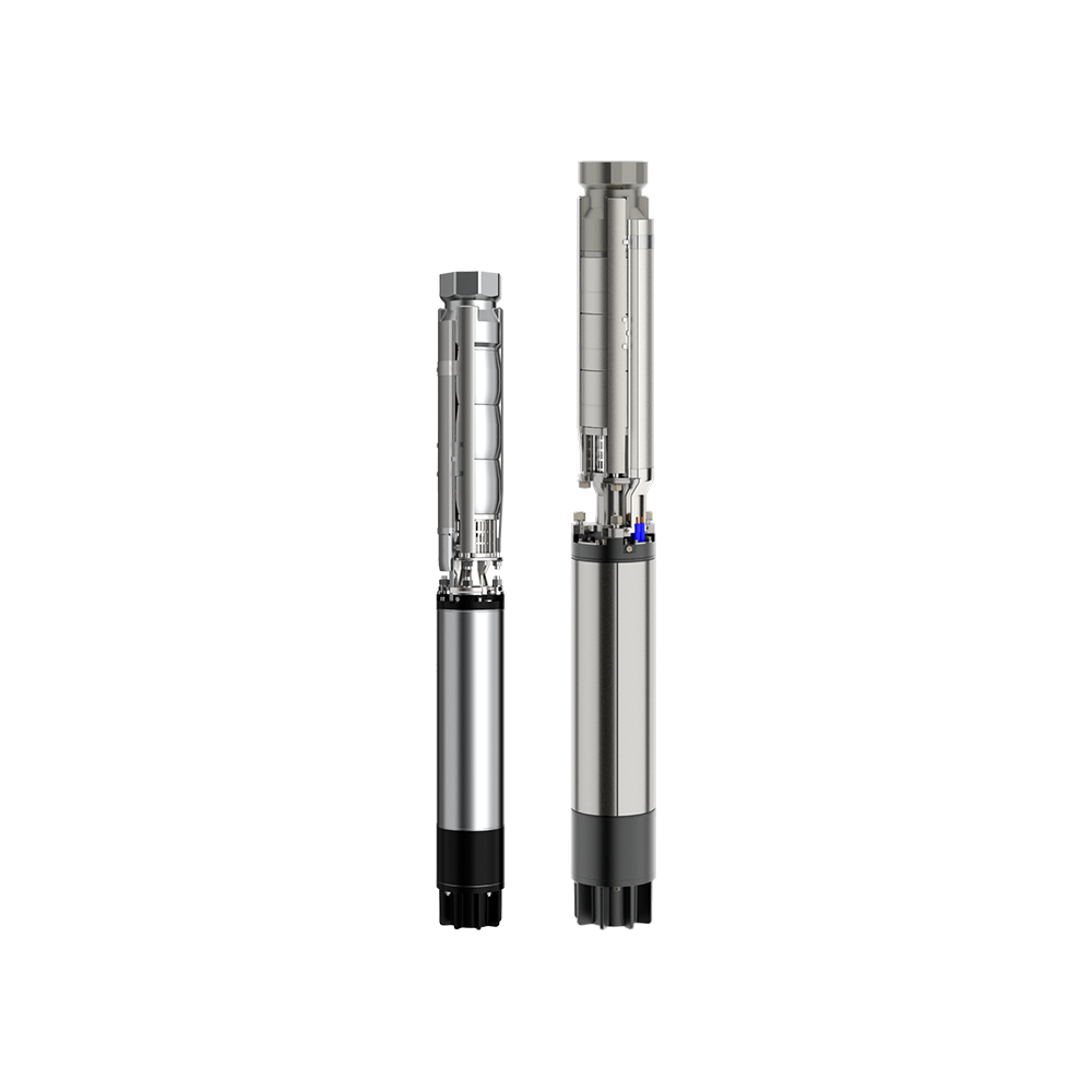 E68KX_CAPRARI PUMP.png