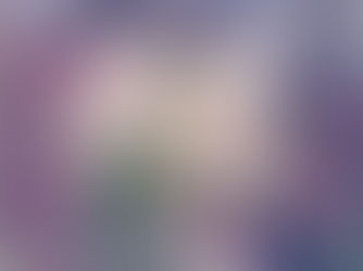 Landscaping Services: A Checklist for Twin Falls Homeowners