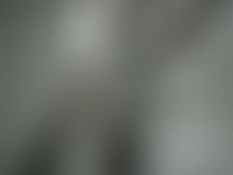 Fencing Solutions for Privacy and Style