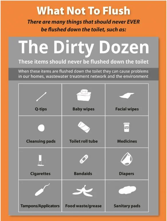dirty_dozen_-_what_not_to_flush-resize_j.jpg.webp