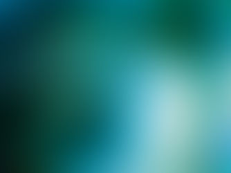 Fencing Installation and Maintenance: What You Need to Know