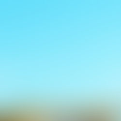 The Benefits of Professional Landscaping Services