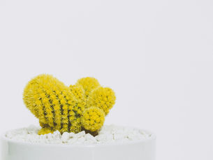 The Best Tools for Installing Residential Fencing Options