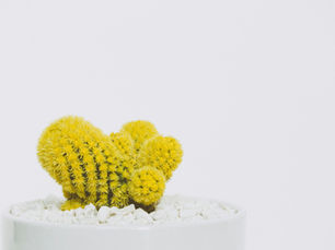 The Best Tools for Installing Residential Fencing Options