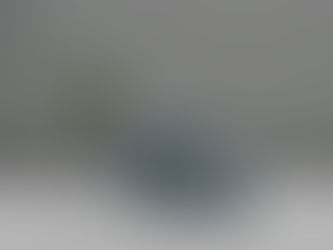 Fencing Solutions for Privacy and Style