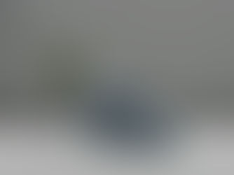 Fencing Solutions for Privacy and Style