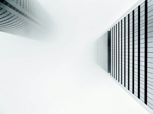 Fencing Ideas for Pet-Friendly Yards