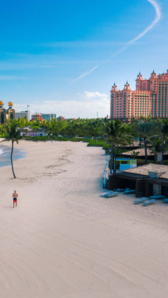 The Cove Atlantis Hotel Review