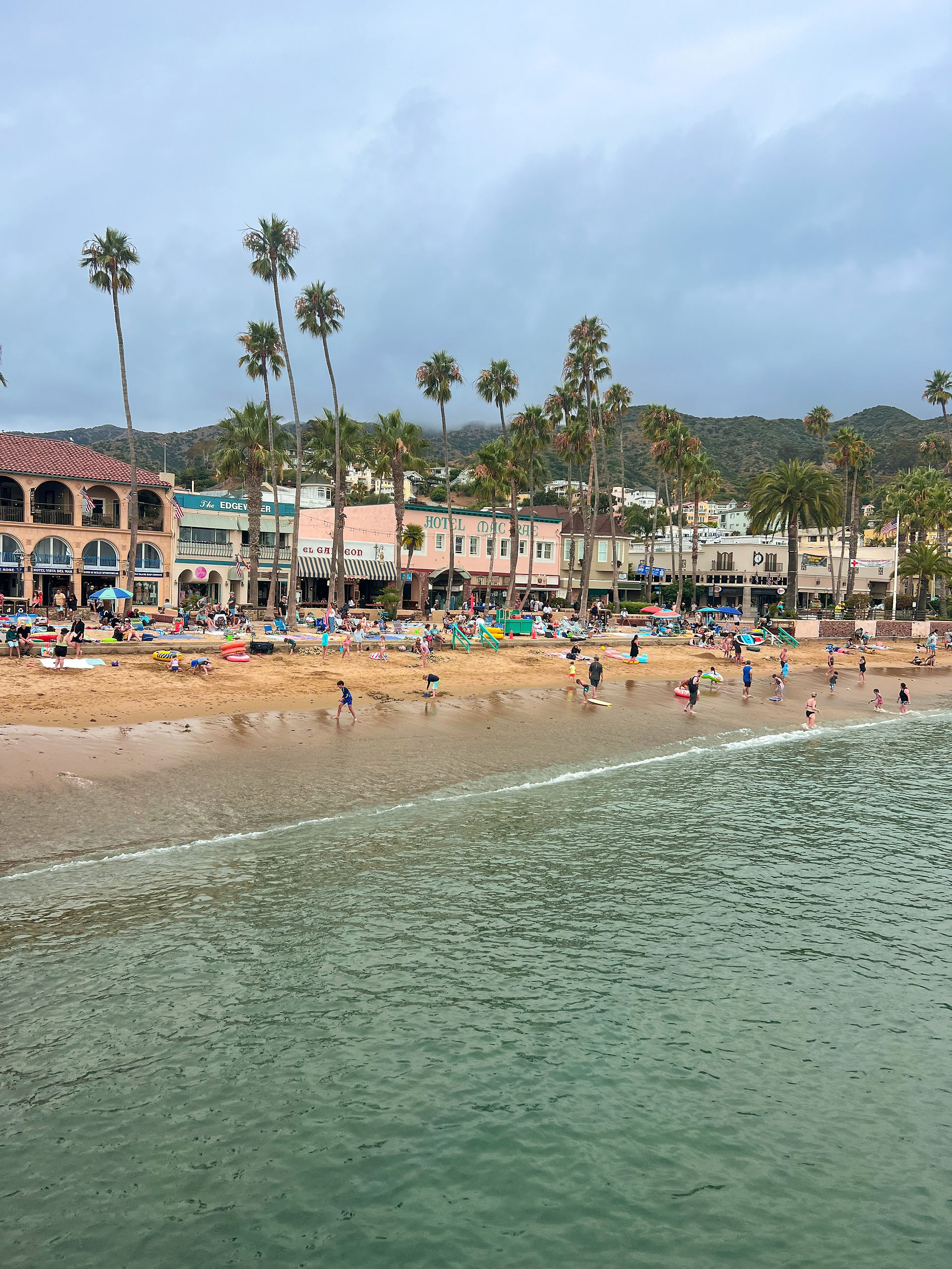 Avalon beach with palm trees and shops as swimmers enjoy the beach and water