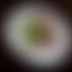 large cooked steak entree at hard rock hotel steakhouse