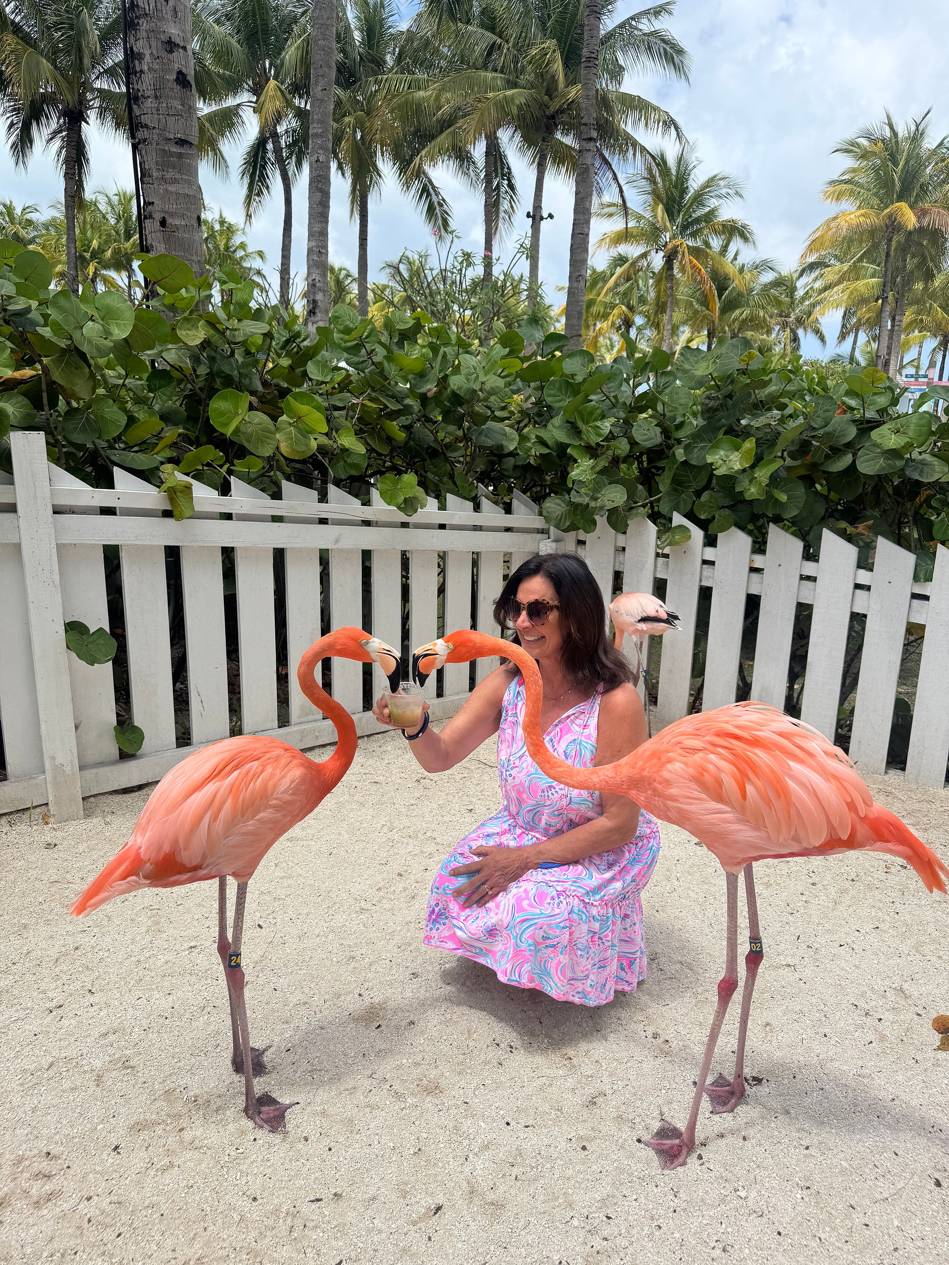 woman in purple dress feeding 2 flamingos under the palm trees 