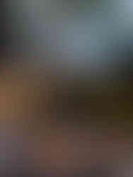 multiple couches and seating around an outdoor fireplace underneath illuminated palm trees