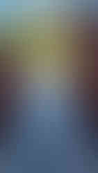 point of view looking down a water slide at the Atlantis Bahamas with palm trees and a massive structure in front of the slide