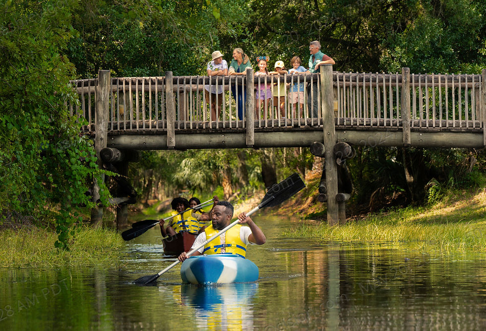 Family kayaking in a river under a bridge as a family overlooks at Disney World's Fort Wilderness Resort