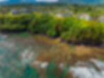 lush tropical green jungle and coral reef in the ocean waters of kauai turtle cave