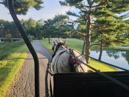 第4回ikigai cap開催のご案内