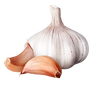 image-removebg-preview (9).png