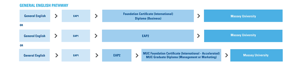 CIE_Pathways_Diagrams_Foundation_Studies_Medicine_JAN_2024.jpg