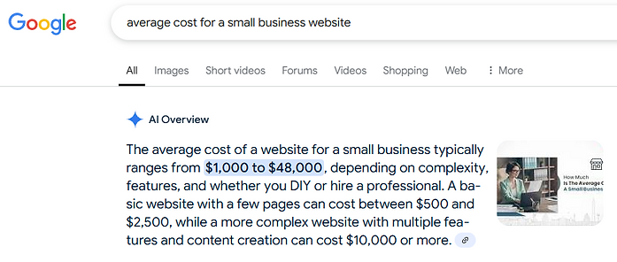 A google search result of "average cost for a small buisness website"