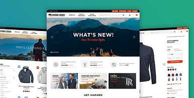 Multiple large website - Professional Websites - Customized Websites side by side