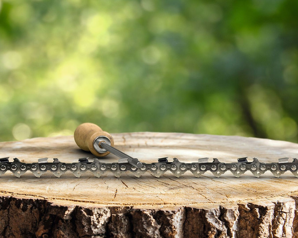Прев'ю: Напилок шестикутний STIHL Ø 5,2 мм х 200 мм для 3/8″ Rapid HEXA 56077735201