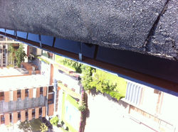image(7).jpeg