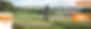 Green Minimalist Real Estate Agent Blog Banner, копия, копия, копия, копия, копия, копия.p