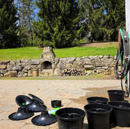 Pesticide-Free Mosquito Control in the Lehigh Valley: How In2Care and Nature-Cide X2 Work Together