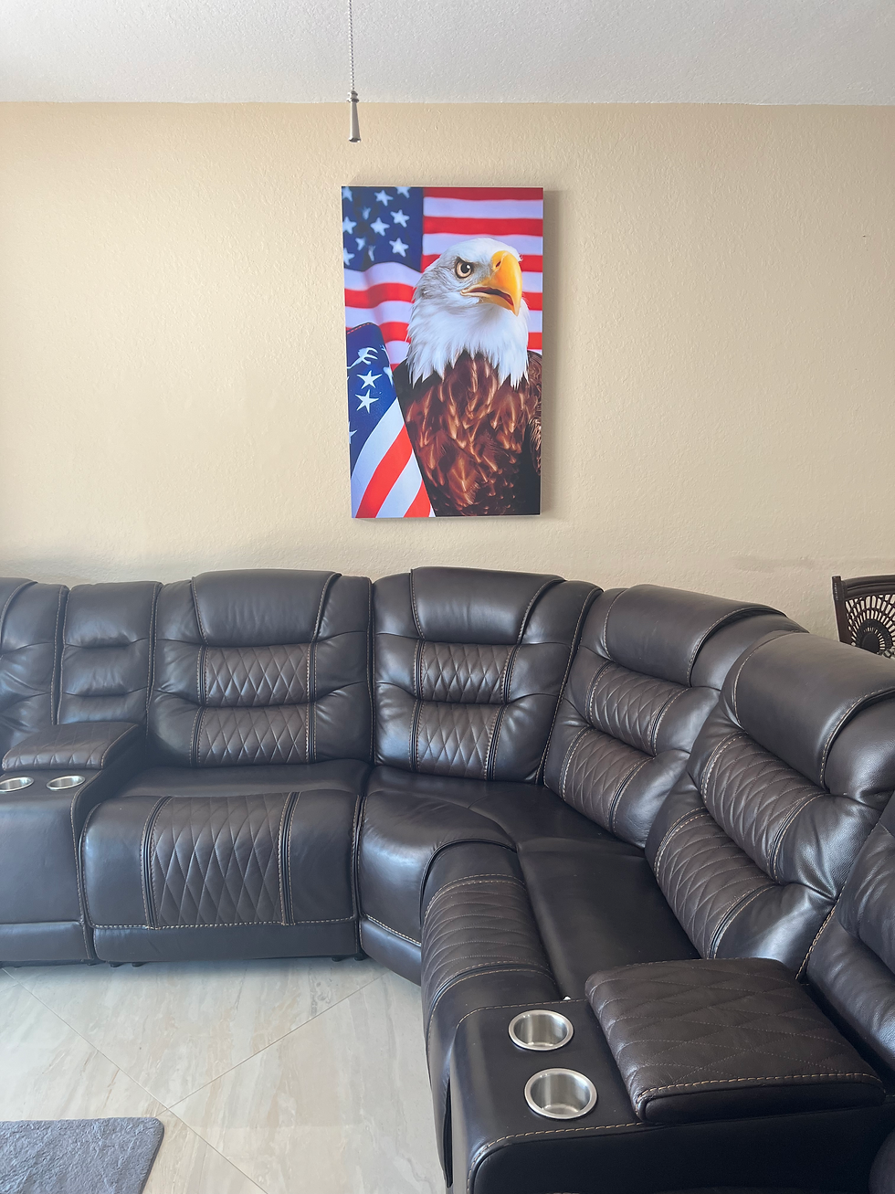 Thumbnail: Eagle picture framed in black acrylic with LED (backlight box) 29x47"