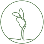 Line drawing of a very young seedling.