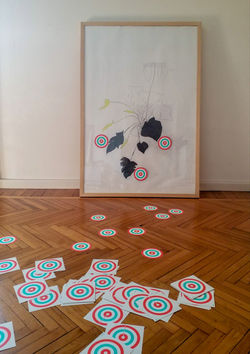 Aggiustare il tiro, 2019