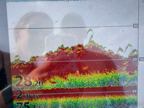 Fish Finder1.heic