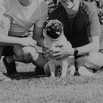 website design (2)_edited.jpg