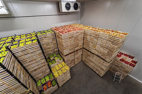 COLD SUPPLY CHAIN.jpg