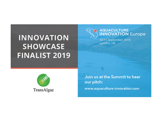 TransAlgae was selected to present as part of the Innovation Showcase at  2019 Aquaculture Innovatio