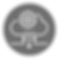 icons vigor Cloud-Based Data Management