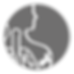 icon vigor- Ease of Use