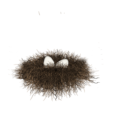 ari bird nest side view.png
