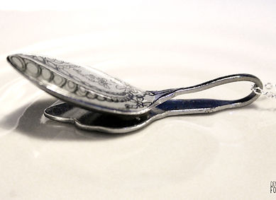 Spoon 'Just flying through fern'