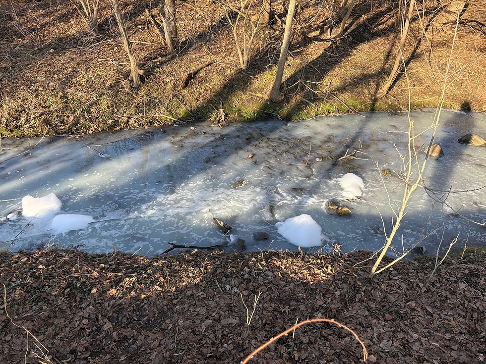 3/5/2026 Illicit Discharge Update: A Statement From Our Chief Scientist, Dr. Megan Fork