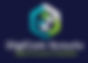 Digicomscouts logo.jpg