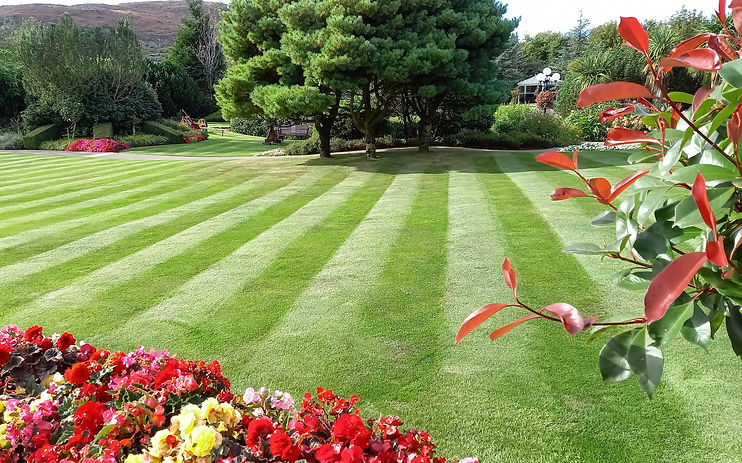 Lawn cut in stripes with flowerbeds.jpg